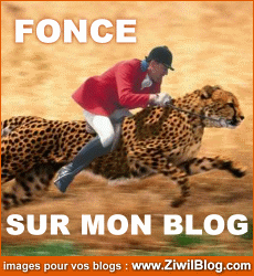 Fonce Sur Mon Blog